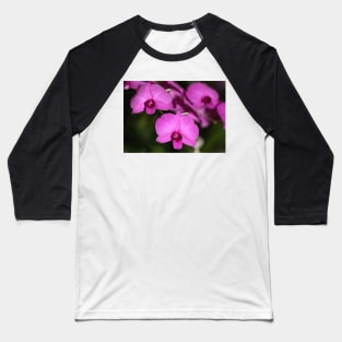 Purple Power: Moth Orchid or Phalaenopsis Baseball T-Shirt